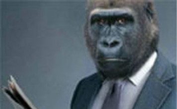 Csáky Pál: Bugár és a Gorillák
