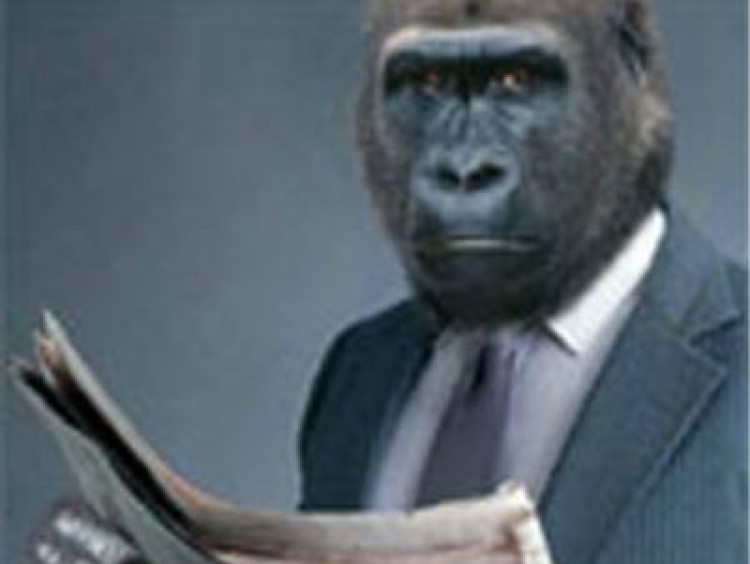 Csáky Pál: Bugár és a Gorillák