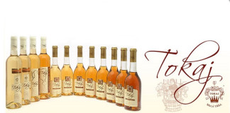 Fico kontra Simon: Ki hibázott Tokaj-ügyben?