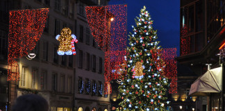 Karácsonyfák árnyékban