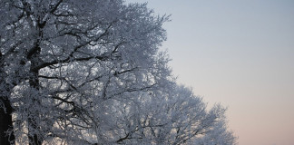 Csáky Pál: Nyitott számlákkal az új évbe