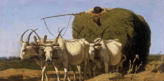 Szlovákia és a „négy ökör ballagása”