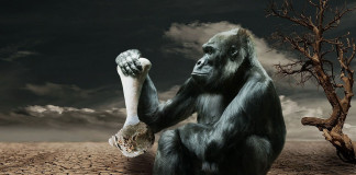 Feledni az árulózást…