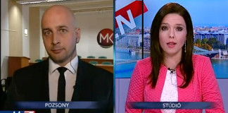 Menyhárt József: Az MKP él és dolgozni akar