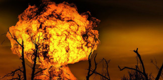 Bottoni: A Most-Híd egy szlovákiai magyar oligarchához köthető politikai-gazdasági projekt