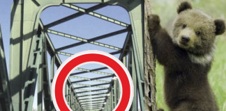 Szeptember 6-ától októbert 14-ig zárva a híd Vámosszabadi és Medve között