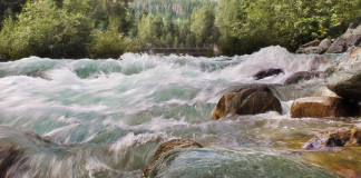 Küzdelem a vízért