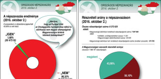 Népszavazás után, alkotmánymódosítás előtt
