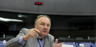 A kisebbségi jogok európai parlamenti érvényesítése