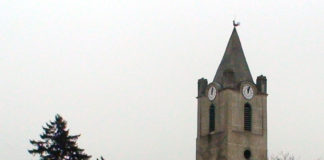 Magyar vagyok, nem idióta!