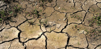 Bugár Béla olthatatlan gyűlölete