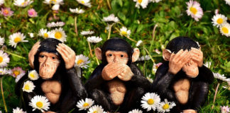 Szilvássy és a szervilizmus