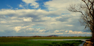 A feltámadás örömhírével