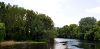 Víz, víz, tiszta víz…