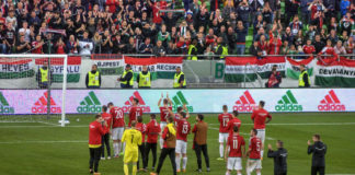 Storck szerint jó úton jár a magyar válogatott