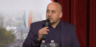 Felvidék visszaszerzése, fehér ló hiányában