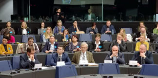 Jövőbe tekintő nyilatkozattal zárták az EP-képviselők ötéves munkájukat a kisebbségvédelem terén