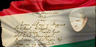 Nemzeti jelképeink valódi védelmet érdemelnek