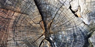 A küzdelem újabb állomása