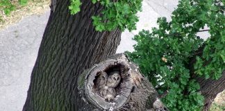 Hol volt, hol nem volt, volt egyszer egy… – Így készült a Mátyusföldi Históriák