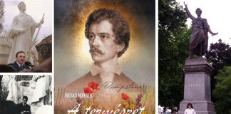 A természet vadvirága