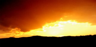 Beértek Trianon gyümölcsei?! (12. rész)