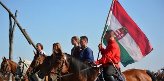 A magyar nyelv a közigazgatásban