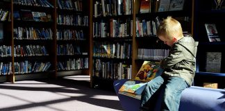 Mi lesz veled, szürkeállomány?