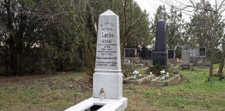 A királyfiai tüzérhadnagy