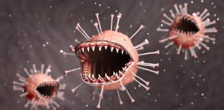 Háborúk, járványok és békék