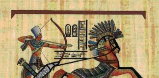 Mielőtt végleg megnémulnánk … (Az európai csődeljárás előtt)