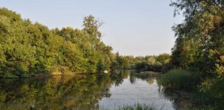 Megpihenni a természet lágy ölén