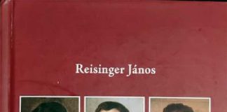 Legalább hat embert ért – Igazságot Petőfinek! / 3.