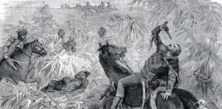 A költő és a „magyar Akhilleusz” a segesvári csatában Jókai 1874-es cikke szerint – Igazságot Petőfinek! / 4.