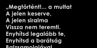 A barátság balzsama / 33 – 7. fejezet: Segesvártól Barguzinig